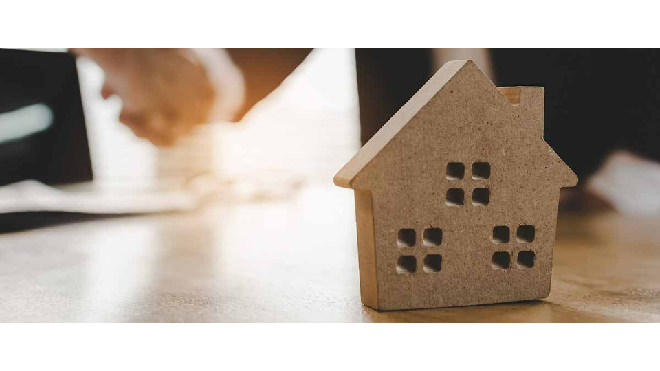 Usage Infographic Site images5