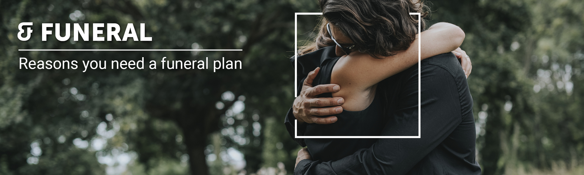 December Newsletter Article Banners5