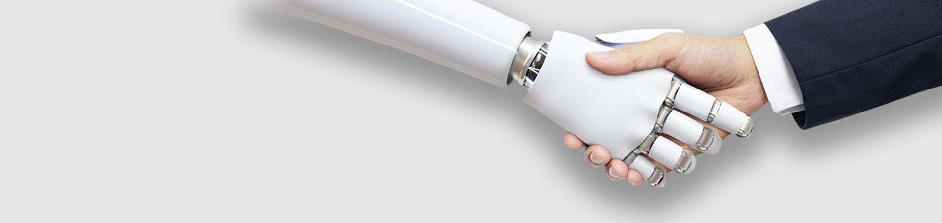 My AI Lawyer web no text