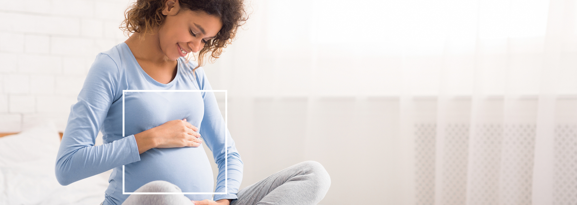 Lts Feb 2020 Newsletter Banner Images Sized For Website