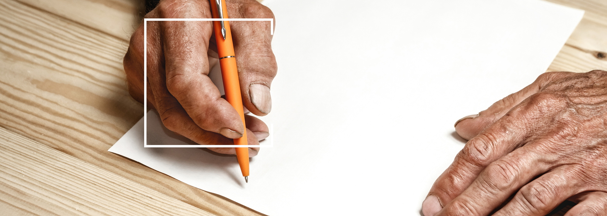 Lts Feb 2020 Newsletter Banner Images Sized For Website4